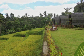 Omah Bapak Ijen Eco House